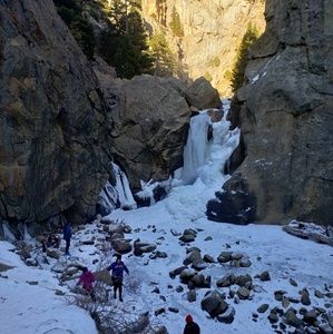 Meet your Posher, Roni